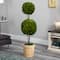 4ft. Boxwood Double Ball Topiary Tree in Planter